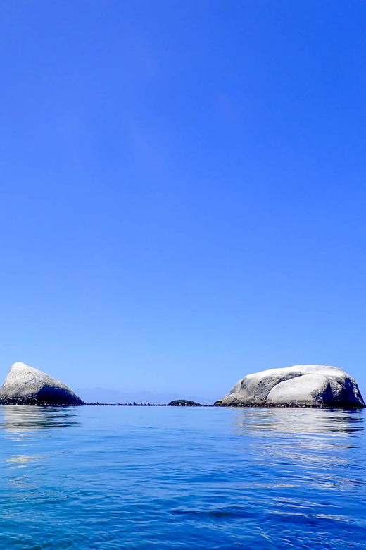 Cape Town: Discover Scuba Diving - 1 Day Experience - Overview of the Experience
