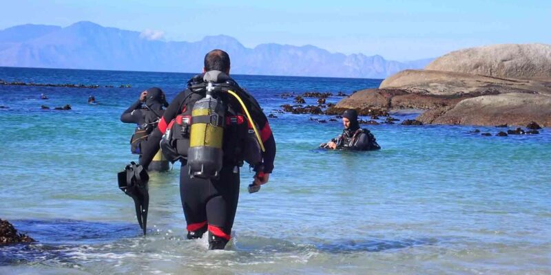 Cape Town: Discover Scuba Diving - 1 Day Experience - Highlights of the Excursion