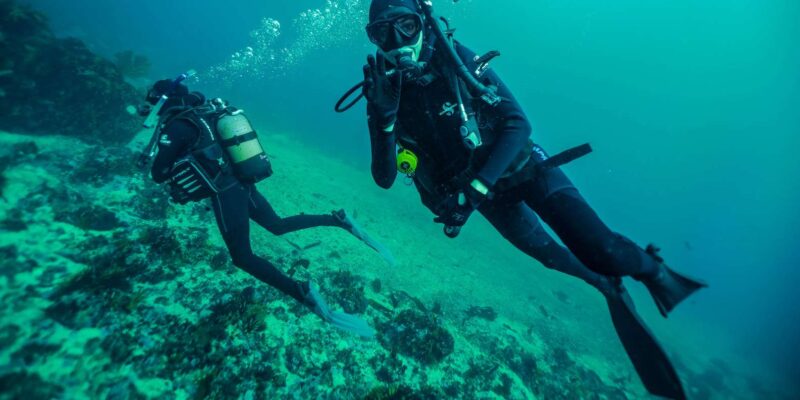 Cape Town: Discover Scuba Diving - 1 Day Experience - Scuba Diving Equipment Provided