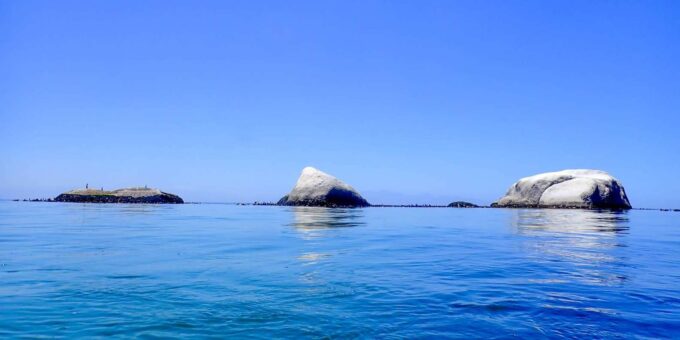 Cape Town: Discover Scuba Diving - 1 Day Experience - Customer Reviews and Ratings