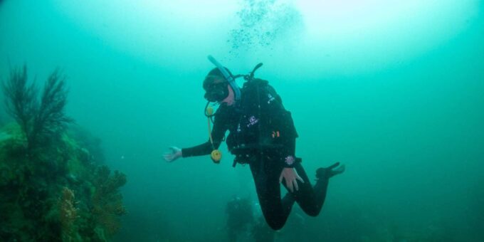 Cape Town: Discover Scuba Diving - 1 Day Experience - Frequently Asked Questions