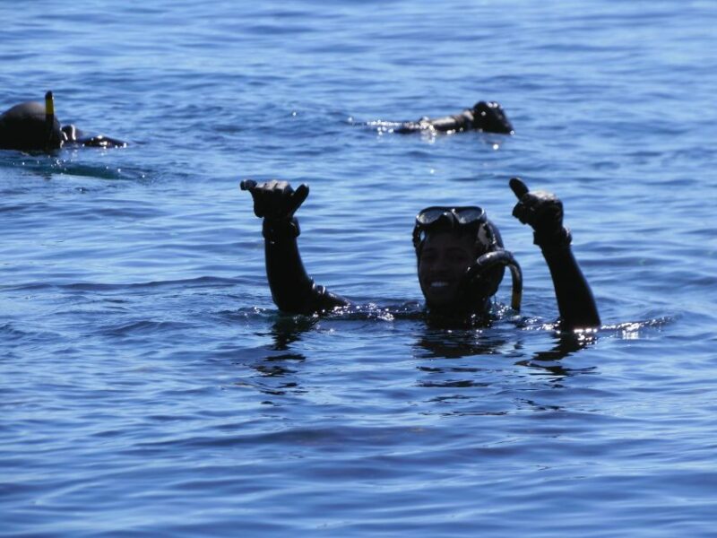 Cape Town: Duiker Islands Seal Snorkeling Boat Trip - Highlights of the Trip