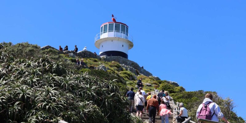 Cape Town: Explore Hidden Gems at Cape of Good Hope Day Tour - Pickup Locations