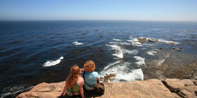 Cape Town: Explore Hidden Gems at Cape of Good Hope Day Tour - Wildlife Viewing