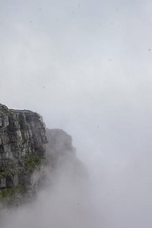 Cape Town Explorer Tour & Table Mountain - Cultural Immersion