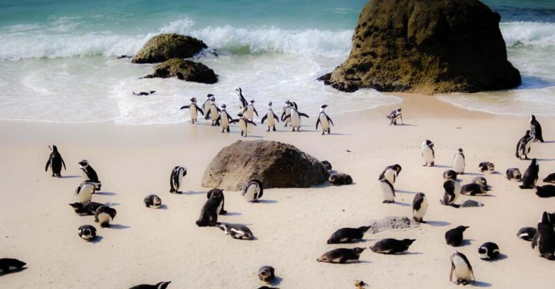 Cape Town - Female Only Group Tours - Inclusions