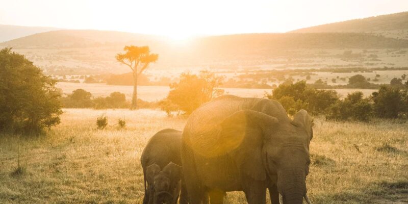 Cape Town - Female Only Group Tours - Sustainability and Community