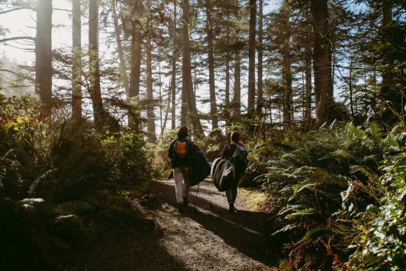 Cape Town: Forest Bathing and Silent Walking Meditation - Key Points