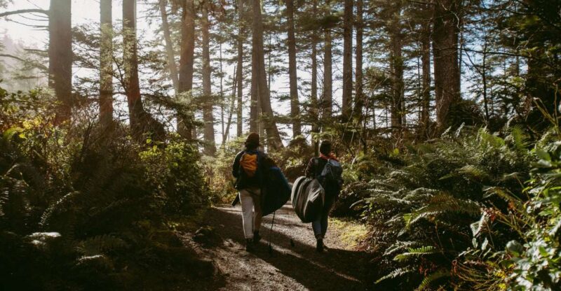 Cape Town: Forest Bathing and Silent Walking Meditation - Highlights