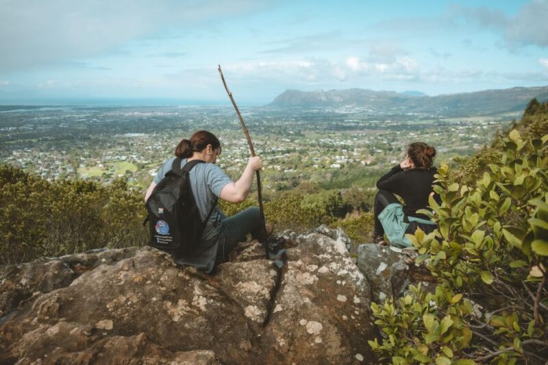 Cape Town: Forest Bathing and Silent Walking Meditation - Additional Information