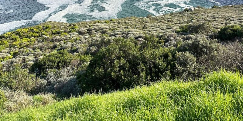 Cape Town: Full-Day Cape of Good Hope Private Tour - Pickup Locations