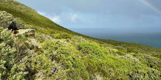 Cape Town: Full-Day Cape of Good Hope Private Tour - Frequently Asked Questions