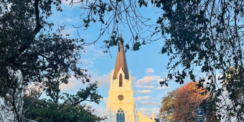 Cape Town: Full-Day Wine Tasting Private Tour - Wine Estates