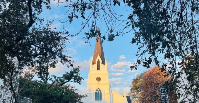 Cape Town: Full-Day Wine Tasting Private Tour - Booking Flexibility