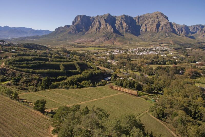 Cape Town: Full-Day Wine Tasting Tour With Wine Tram - Key Points