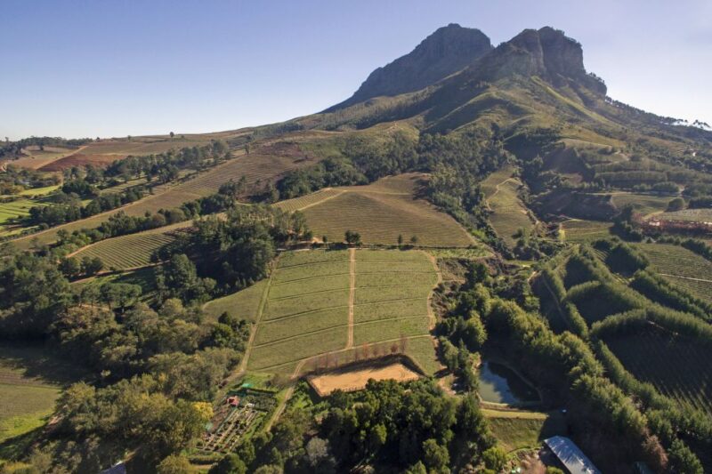 Cape Town: Full-Day Wine Tasting Tour With Wine Tram - Pickup and Explore