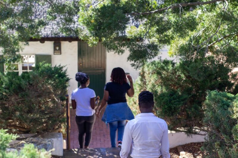 Cape Town: Full-Day Wine Tasting Tour With Wine Tram - Wine and Chocolate Pairing
