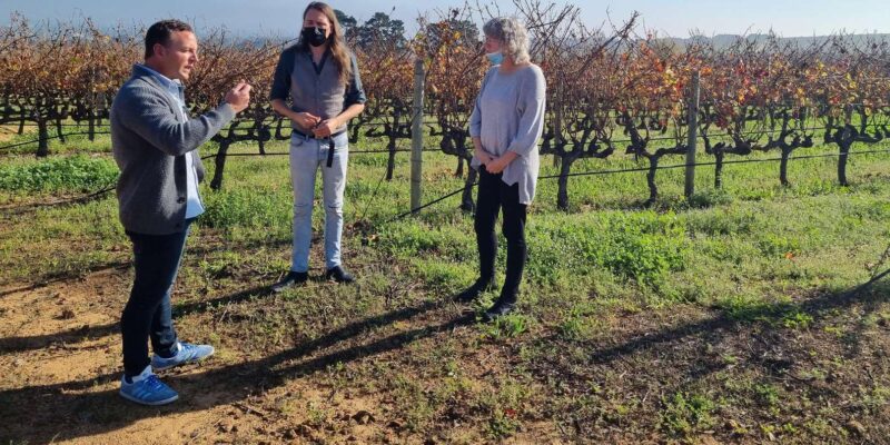 Cape Town: Funday - Taste Divine Wines in Exquisite Settings - Key Points