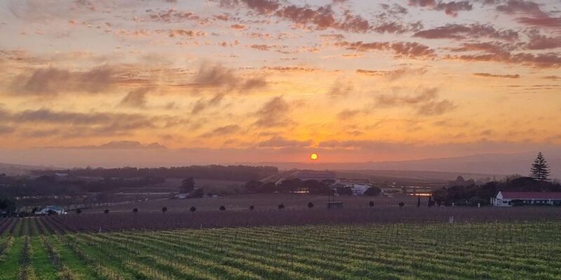 Cape Town: Funday - Taste Divine Wines in Exquisite Settings - Wine Tasting Details