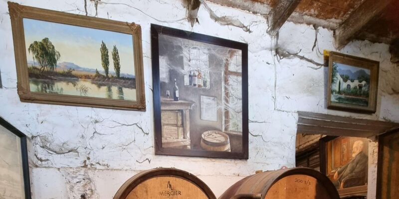 Cape Town: Funday - Taste Divine Wines in Exquisite Settings - Additional Activities and Highlights