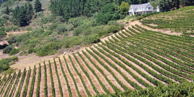 Cape Town: Funday - Taste Divine Wines in Exquisite Settings - Refund and Payment Policies
