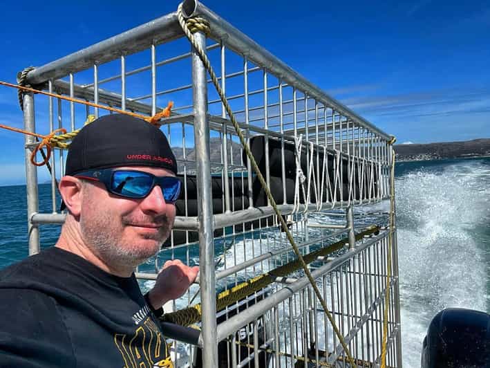 Cape Town : Gansbaai Eco-Friendly Shark Cage Diving Cruise - Itinerary and Transportation