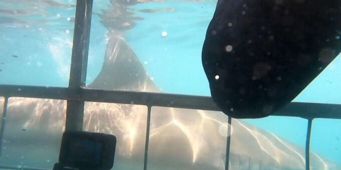 Cape Town : Gansbaai Eco-Friendly Shark Cage Diving Cruise - Equipment and Facilities