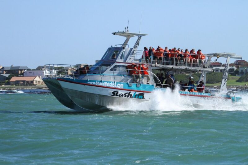 Cape Town: Gansbaai Eco-Friendly Shark Cage Diving Cruise - Itinerary