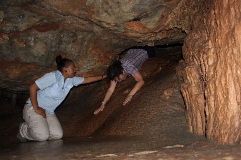 Cape Town: Garden Route and Addo Elephant Park 6-Day Safari - Canoeing and Hiking in Wilderness