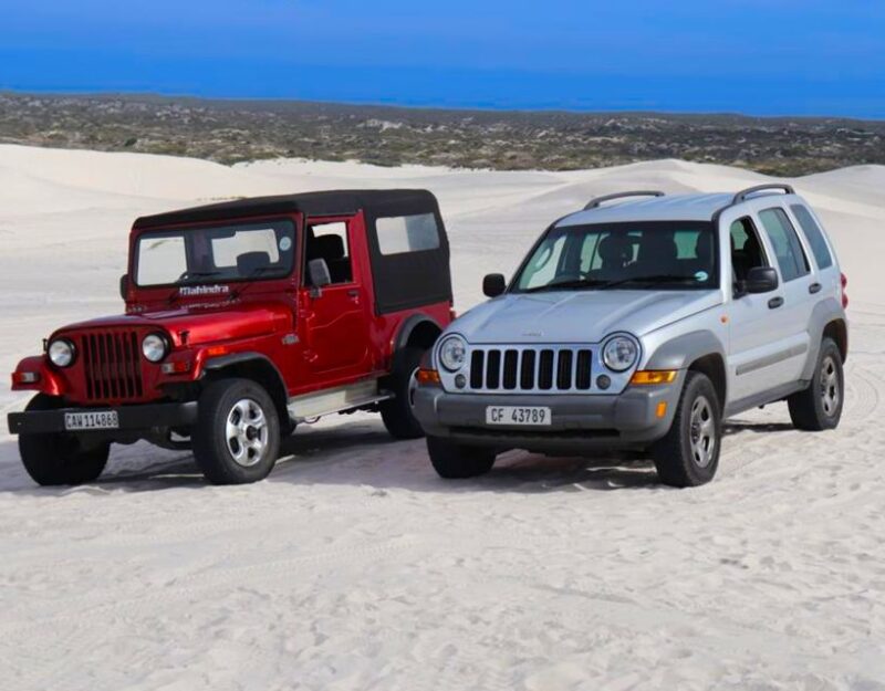 CAPE TOWN: GLAM SANDBOARDING IN ATLANTIS DUNES WITH WILDX - Key Points