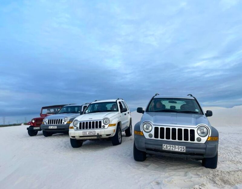 CAPE TOWN: GLAM SANDBOARDING IN ATLANTIS DUNES WITH WILDX - Pricing and Booking