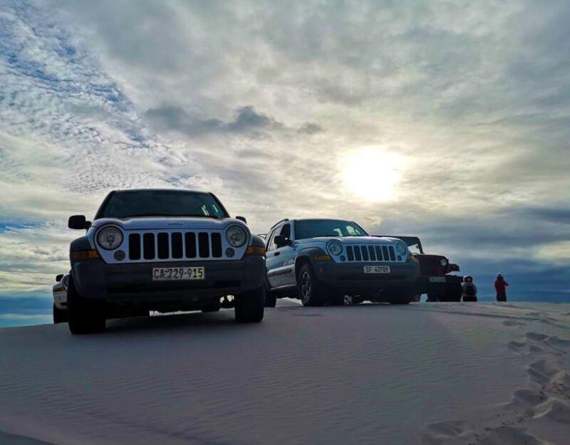 CAPE TOWN: GLAM SANDBOARDING IN ATLANTIS DUNES WITH WILDX - What to Expect on the Dunes