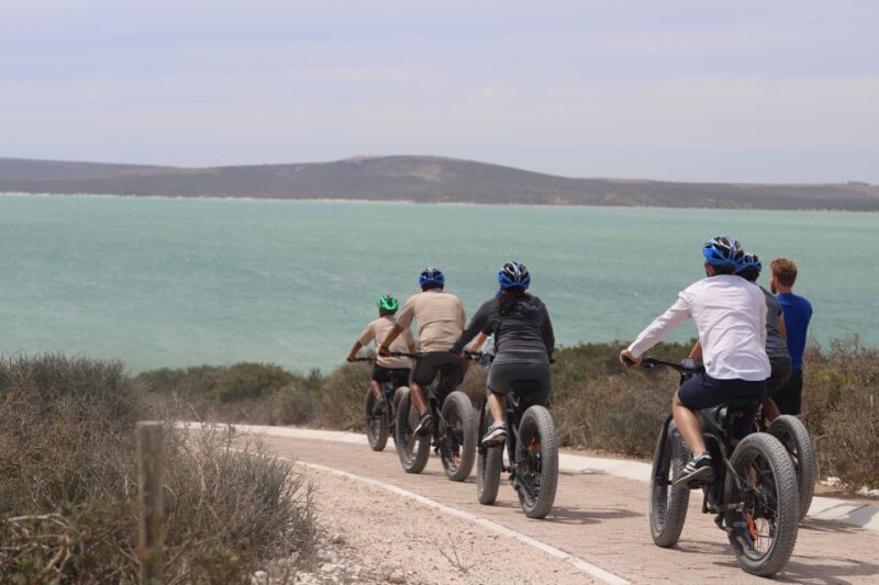 Cape Town: Guided E-Bike Safari Tour - Highlights of the Safari