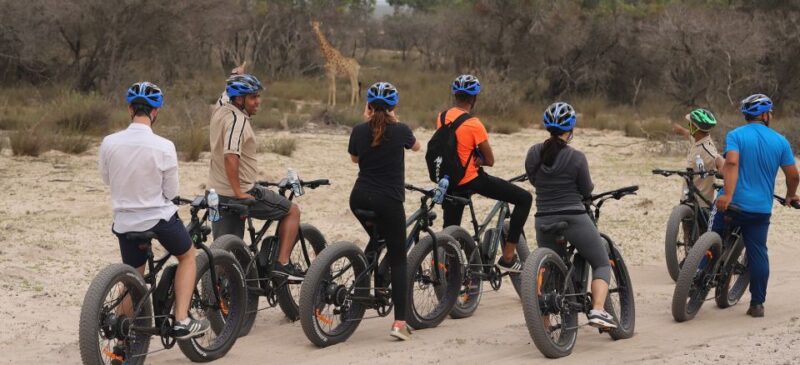 Cape Town: Guided E-Bike Safari Tour - Wild Animals Observation