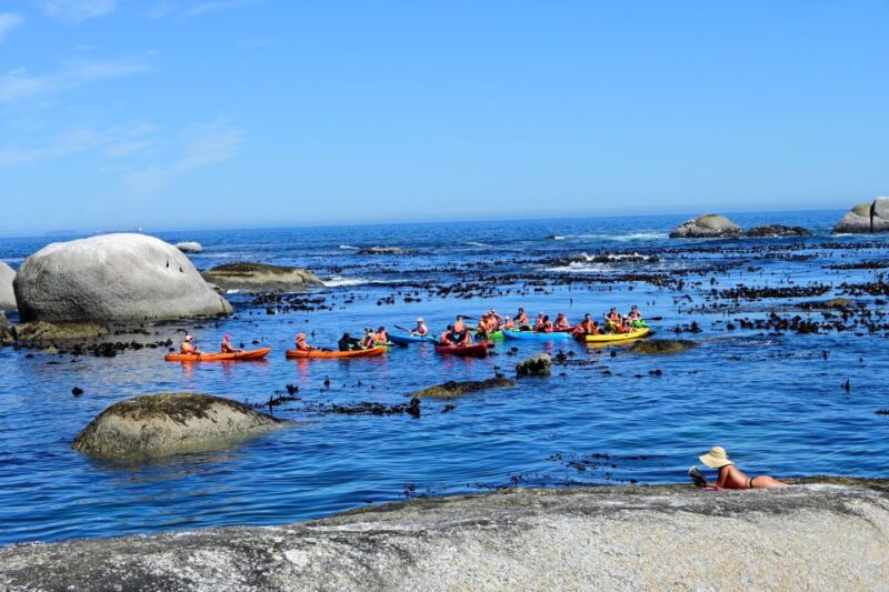 Cape Town: Guided Kayak Tour of Clifton Beaches & The Coast - Highlights of the Experience