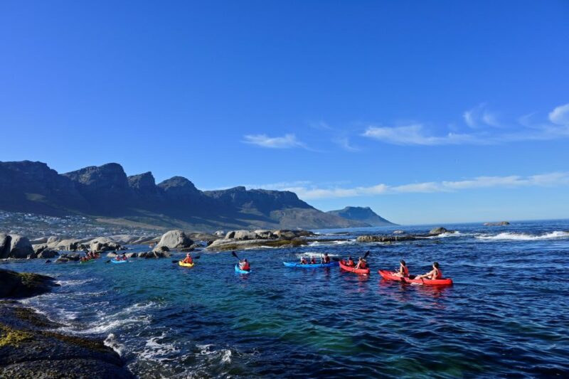 Cape Town: Guided Kayak Tour of Clifton Beaches & The Coast - Views of Iconic Cape Town Landmarks