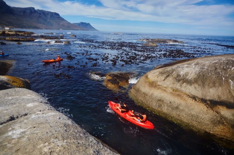 Cape Town: Guided Kayak Tour of Clifton Beaches & The Coast - Included Gear and Equipment