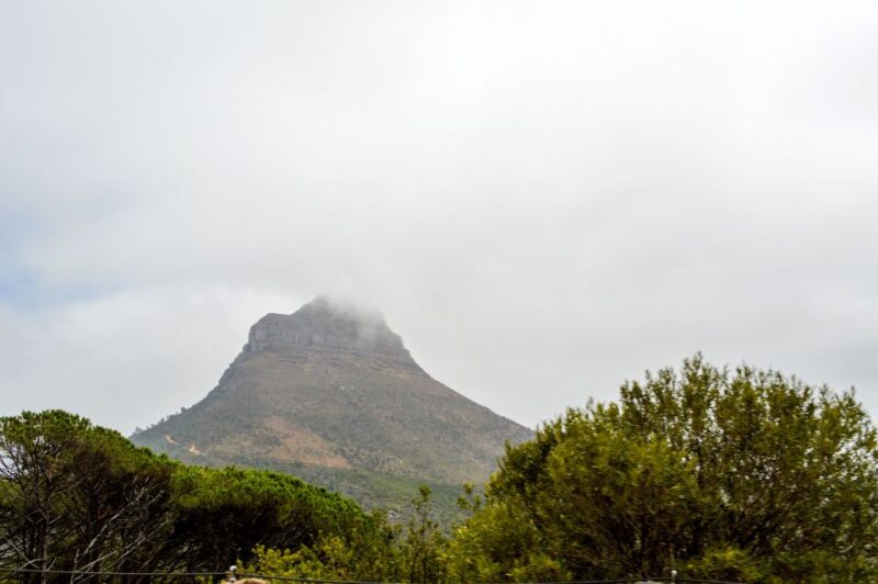 Cape Town: Half-Day City Tour - Highlights of the Tour