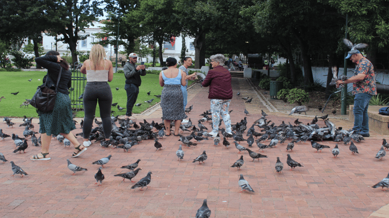 Cape Town: Half-Day City Tour With Hotel Pickup - Key Points