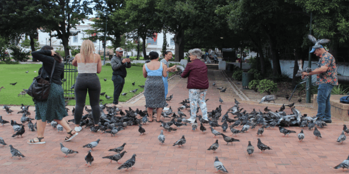 Cape Town: Half-Day City Tour With Hotel Pickup - Guided Tours