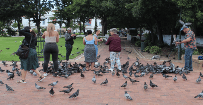 Cape Town: Half-Day City Tour With Hotel Pickup - Frequently Asked Questions