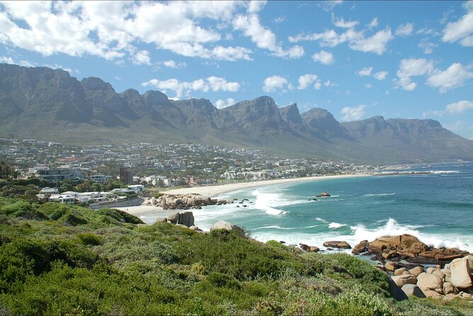 Cape Town Half Day Tour - Accessibility Features