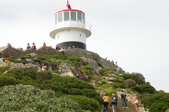 Cape Town Half Day Tour - Booking and Cancellation Policy