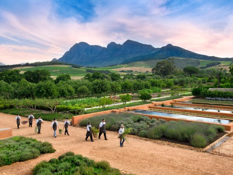 Cape Town: Half-Day Wineries and Tastings Small Group Tour - Included in the Tour