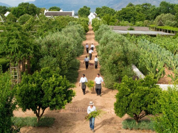 Cape Town: Half-Day Wineries and Tastings Small Group Tour - Wine and Cheese Pairings