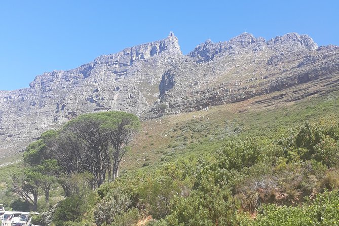 Cape Town Halfday City and Table Mountain Tour - Complimentary Amenities