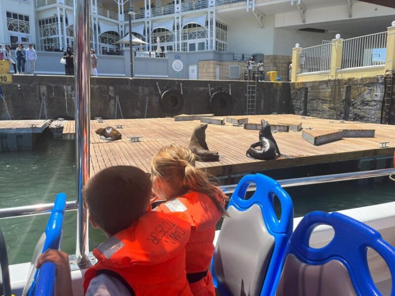 Cape Town: Harbor Cruise - Duration and Meeting Point