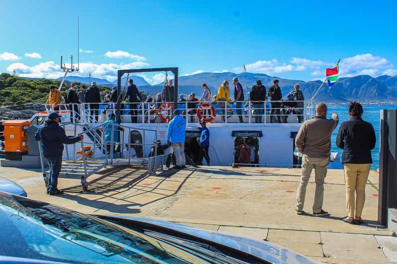 Cape Town: Hermanus Boat Cruise Whale Watching Tour - Tour Overview