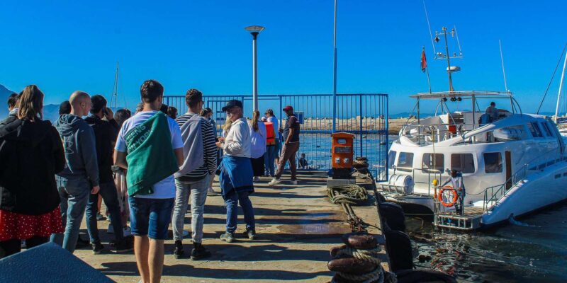 Cape Town: Hermanus Boat Cruise Whale Watching Tour - Whale Watching Experience