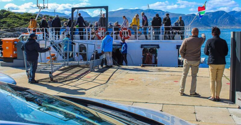 Cape Town: Hermanus Boat Cruise Whale Watching Tour - Cancellation Policy